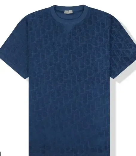 Dior Towel Oblique T-Shirt rep