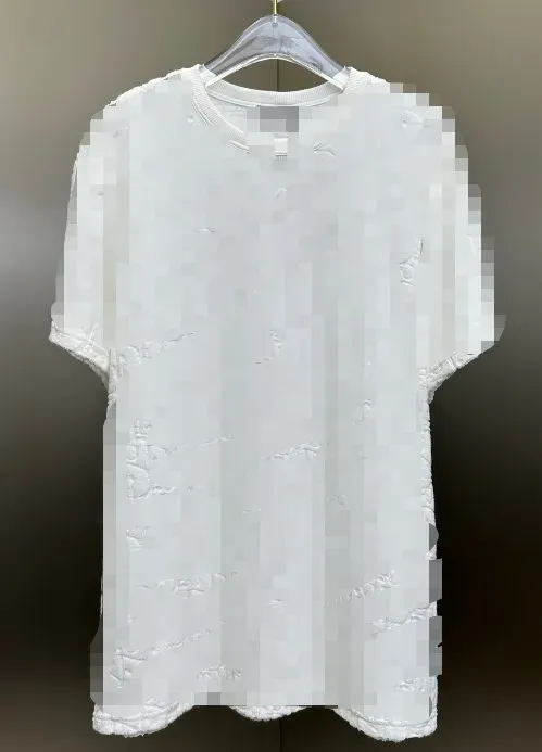 Dior Towel T-Shirt rep