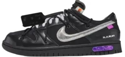 Budget Dunk Lot Shoes rep