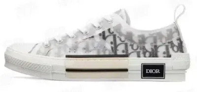 Dior Low B23 rep