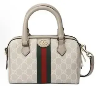 Gucci Ophidia Bag rep