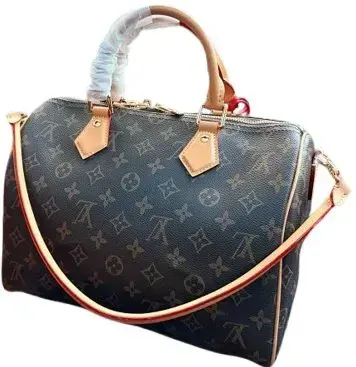 LV Speedy Traveling Bag rep